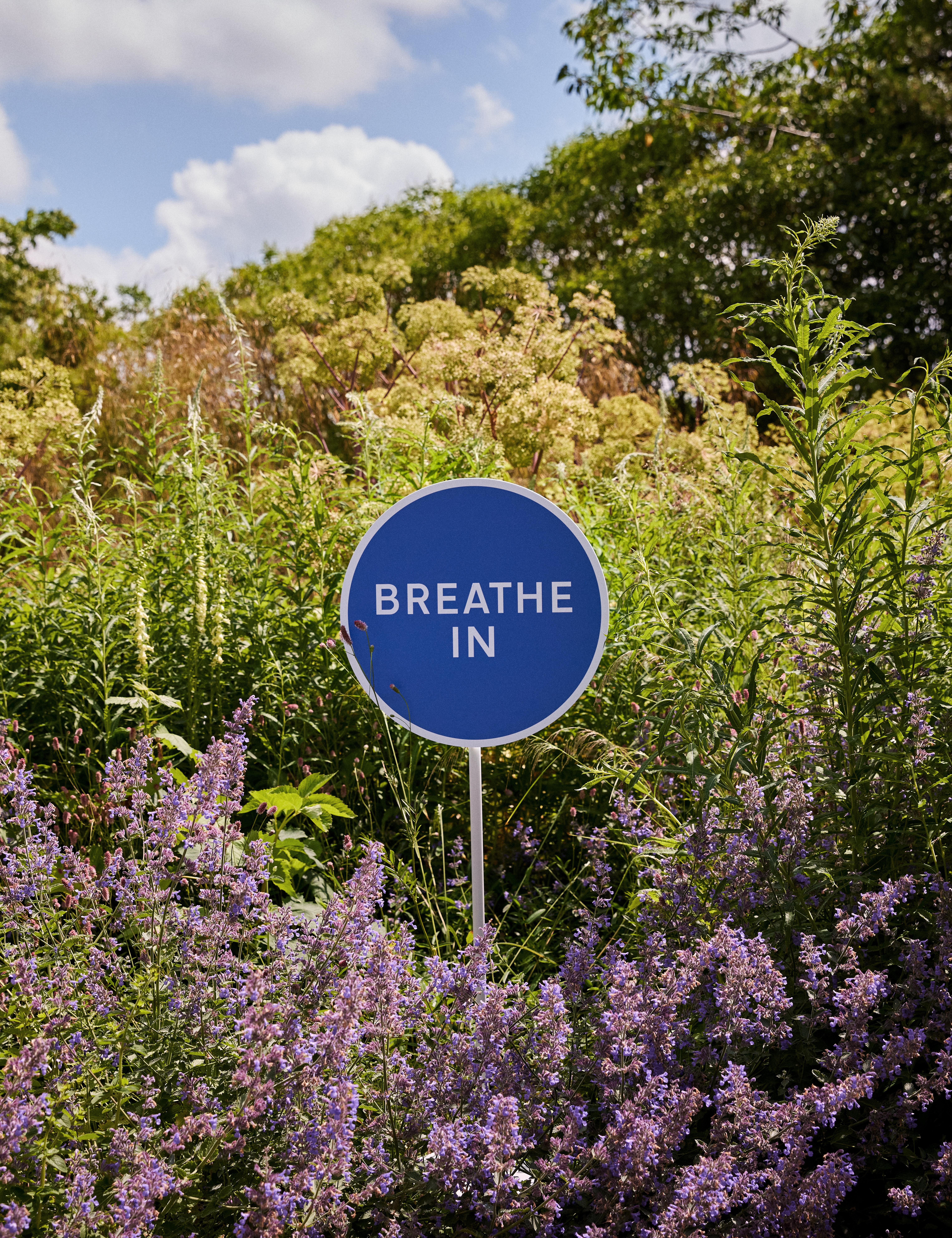 stop and smell the roses campaign - how to romanticise your everyday