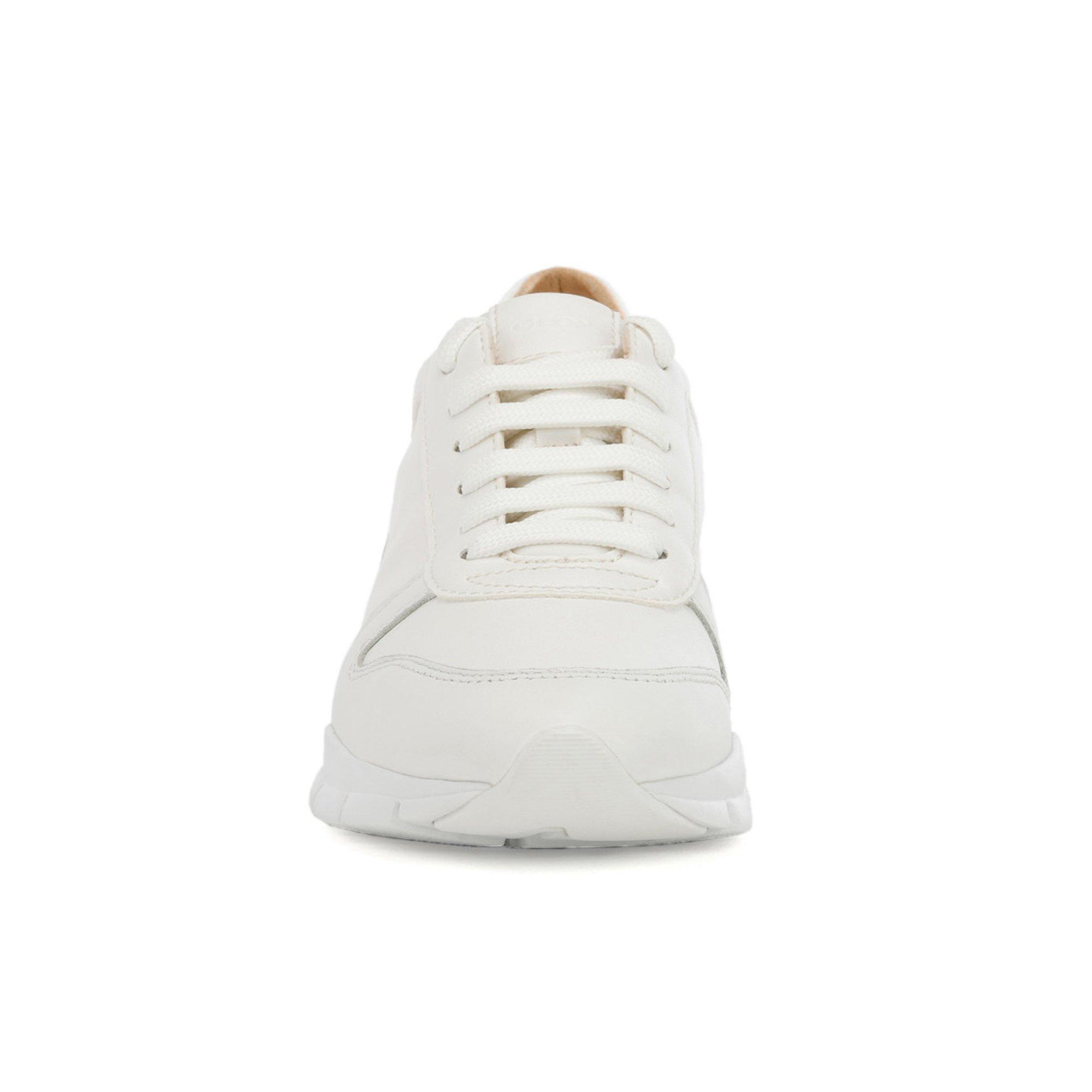 GEOX  Sneakers, basses 