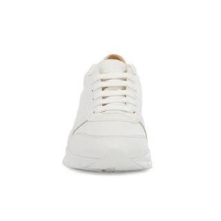 GEOX  Sneakers, basses 