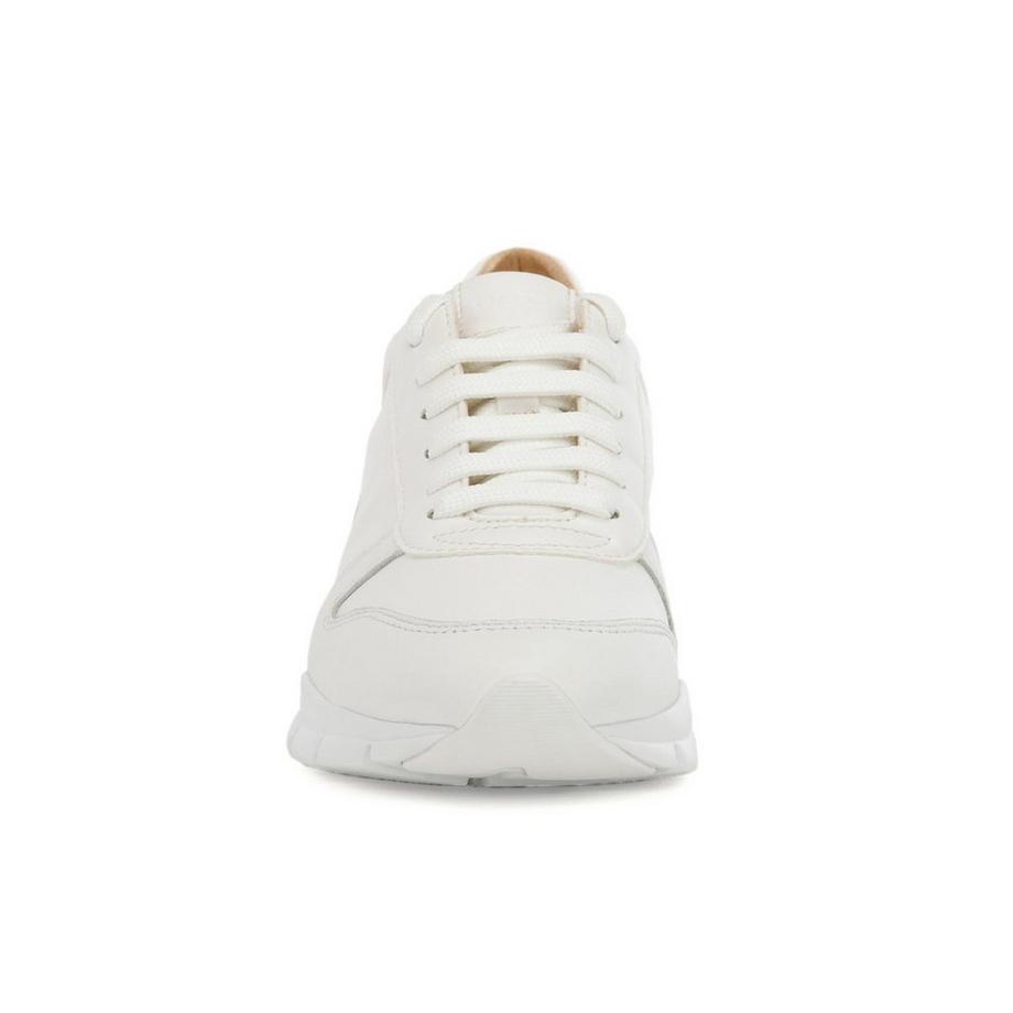 GEOX  Sneakers, basses 