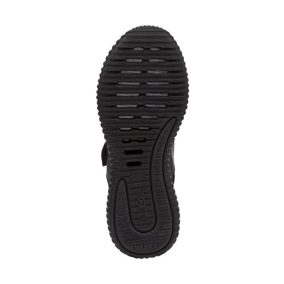 GEOX  Sneakers basse 