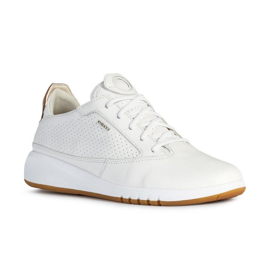GEOX  Sneakers, Low Top 