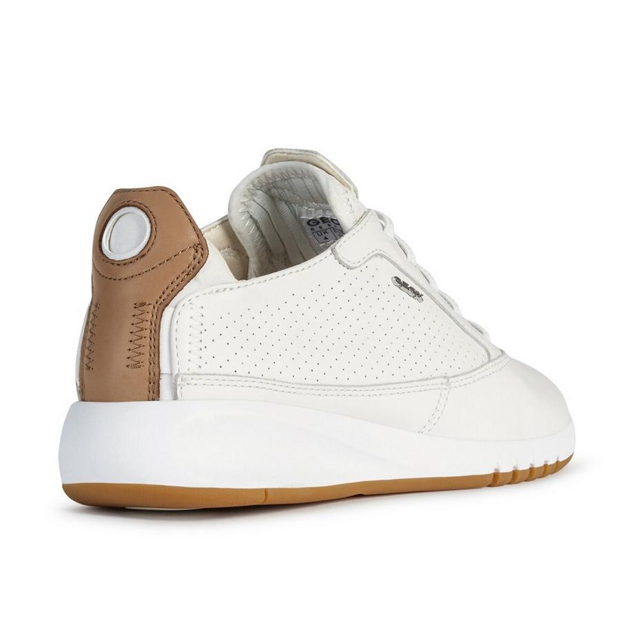 GEOX  Sneakers, Low Top 