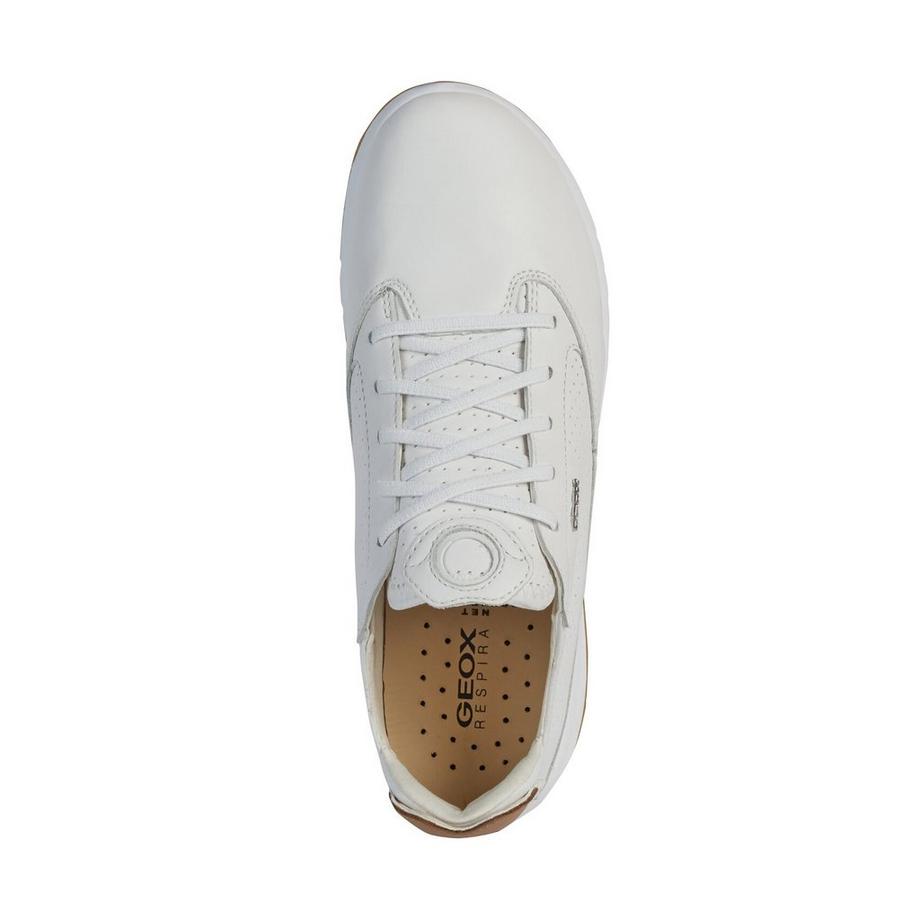 GEOX  Sneakers, Low Top 