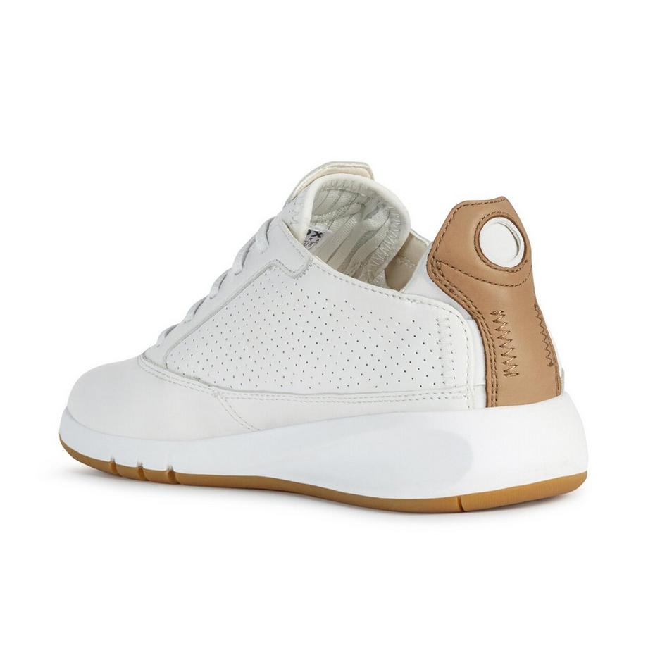GEOX  Sneakers, Low Top 