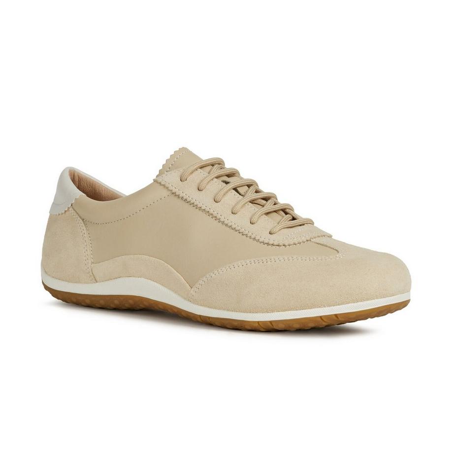 GEOX  Sneakers basse 