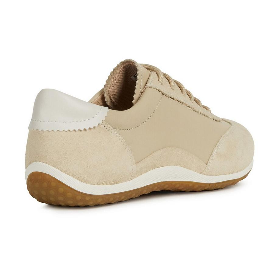 GEOX  Sneakers basse 