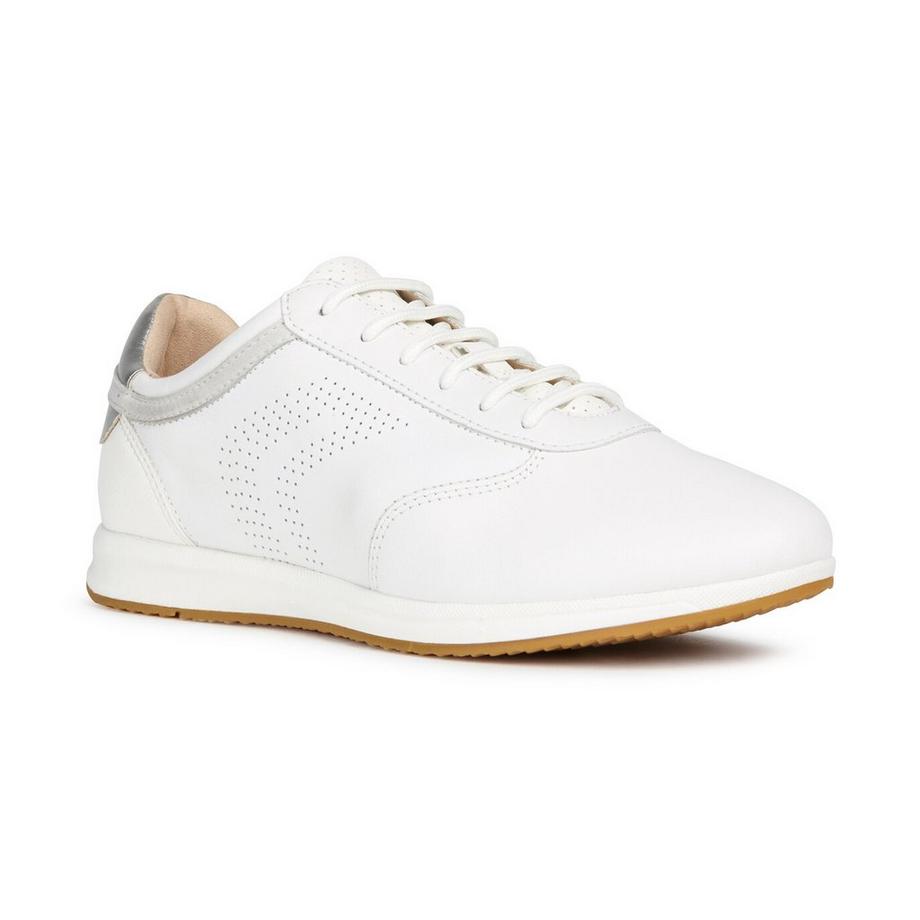 GEOX  Sneakers basse 