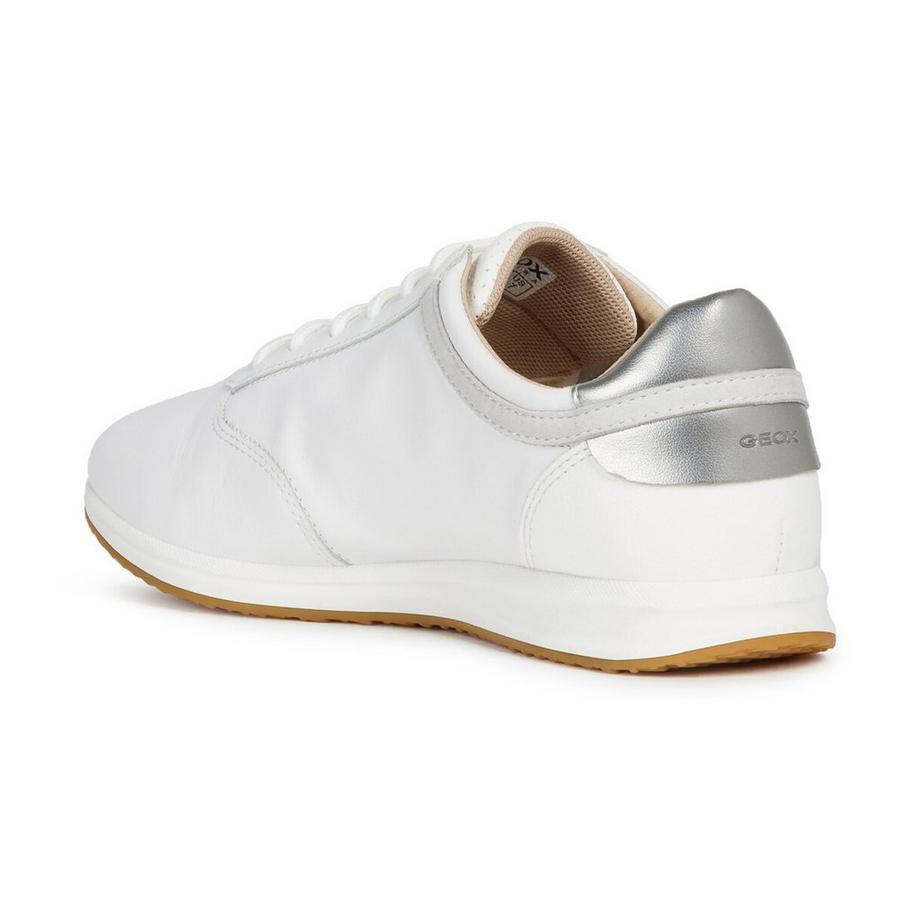 GEOX  Sneakers basse 