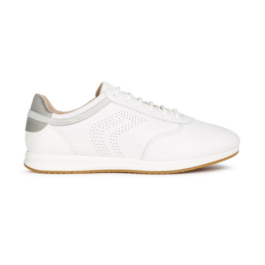 GEOX  Sneakers basse 