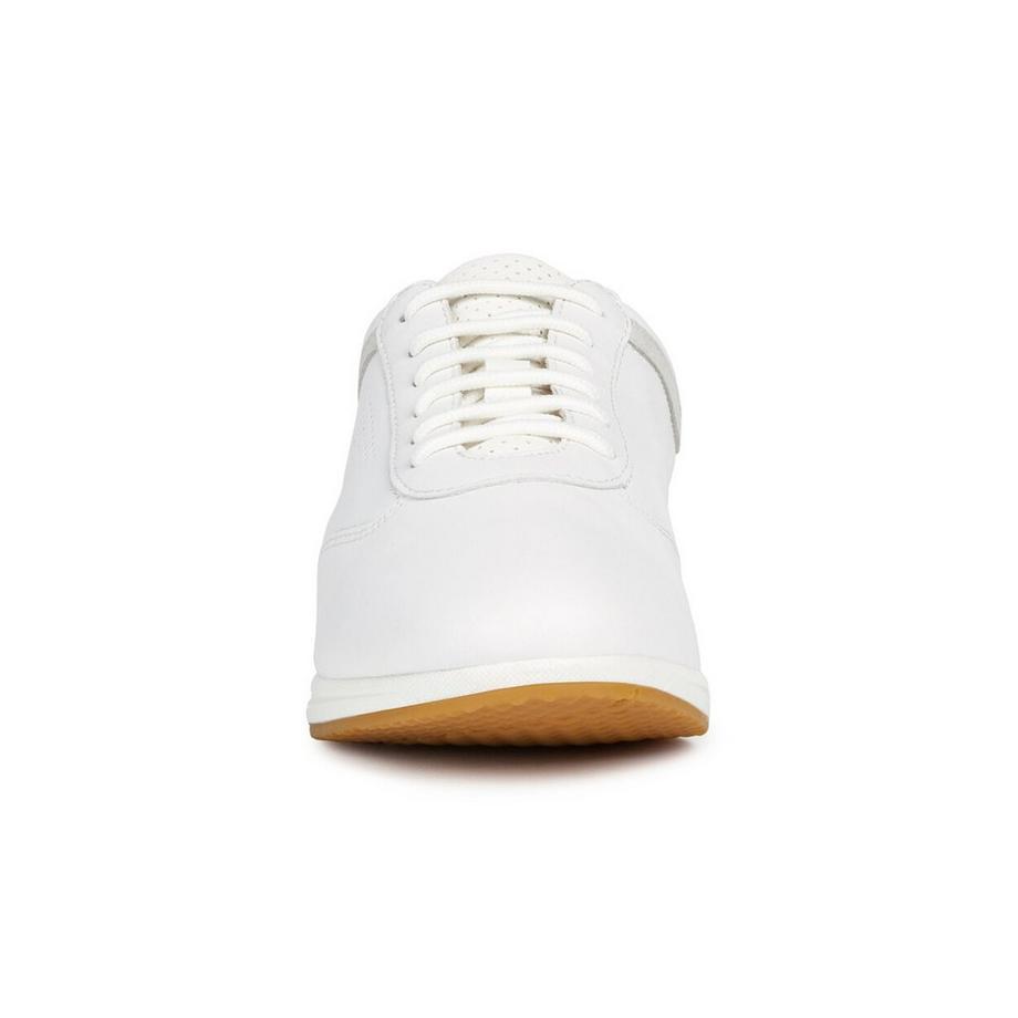 GEOX  Sneakers basse 
