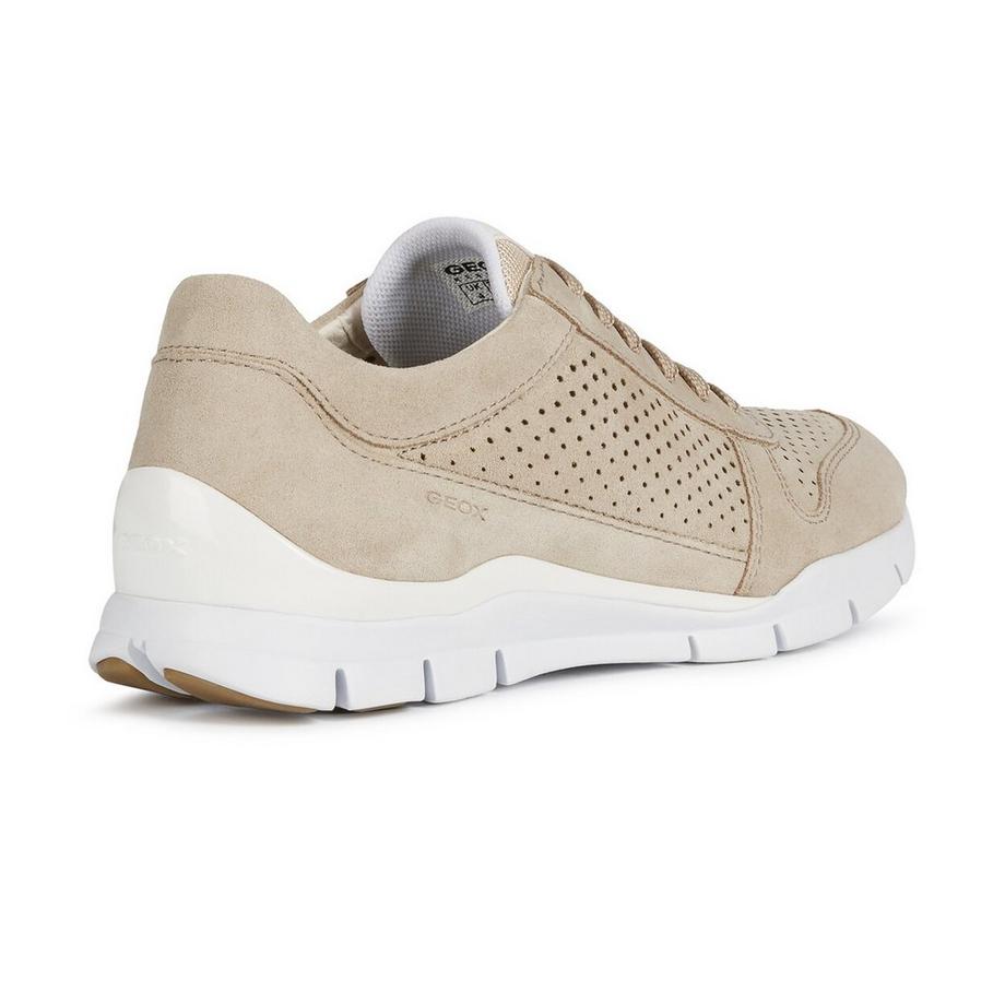 GEOX Low Top Leder Sneakers  