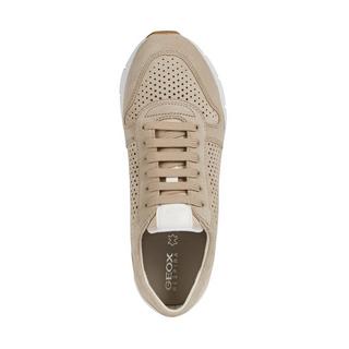 GEOX  Sneakers basse 