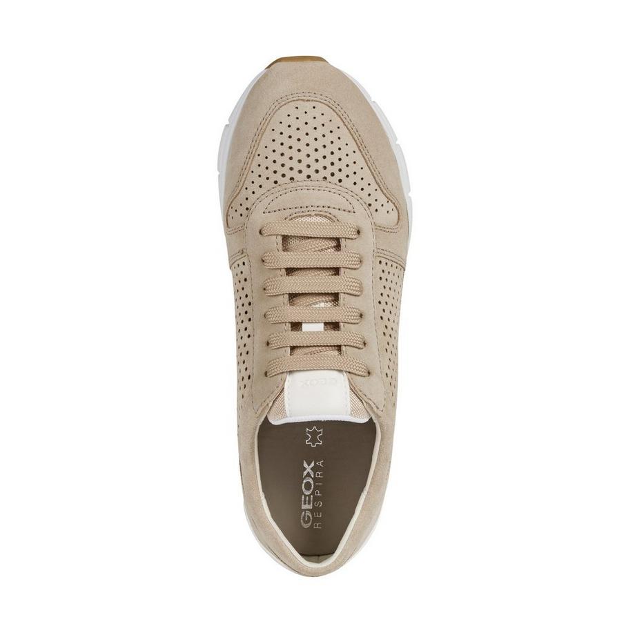 GEOX Low Top Leder Sneakers  