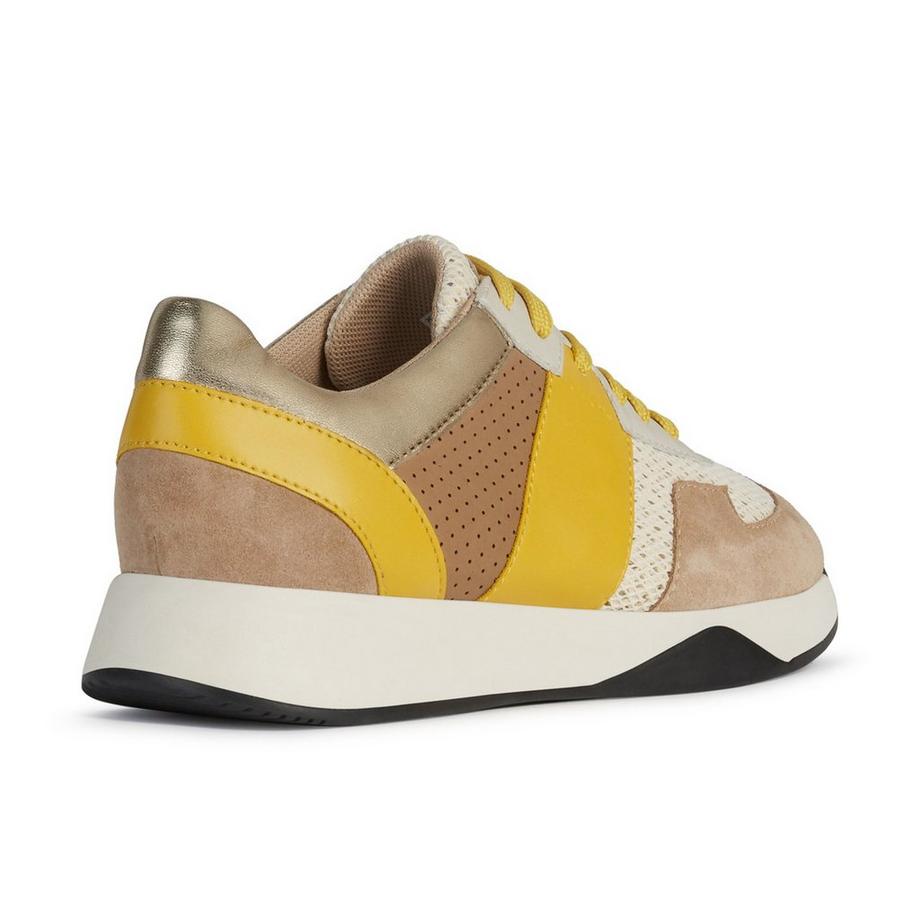 GEOX  Sneakers, Low Top 