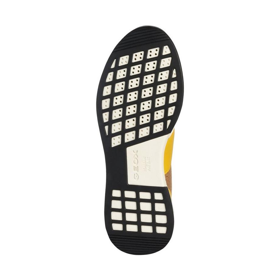 GEOX  Sneakers, Low Top 