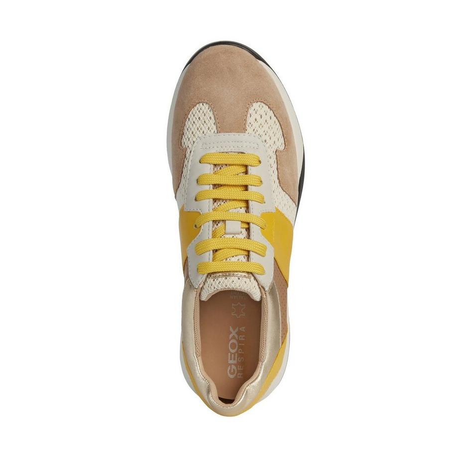 GEOX  Sneakers, Low Top 