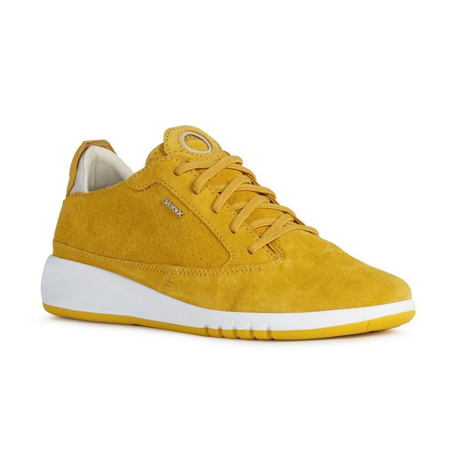 GEOX  Sneakers basse 