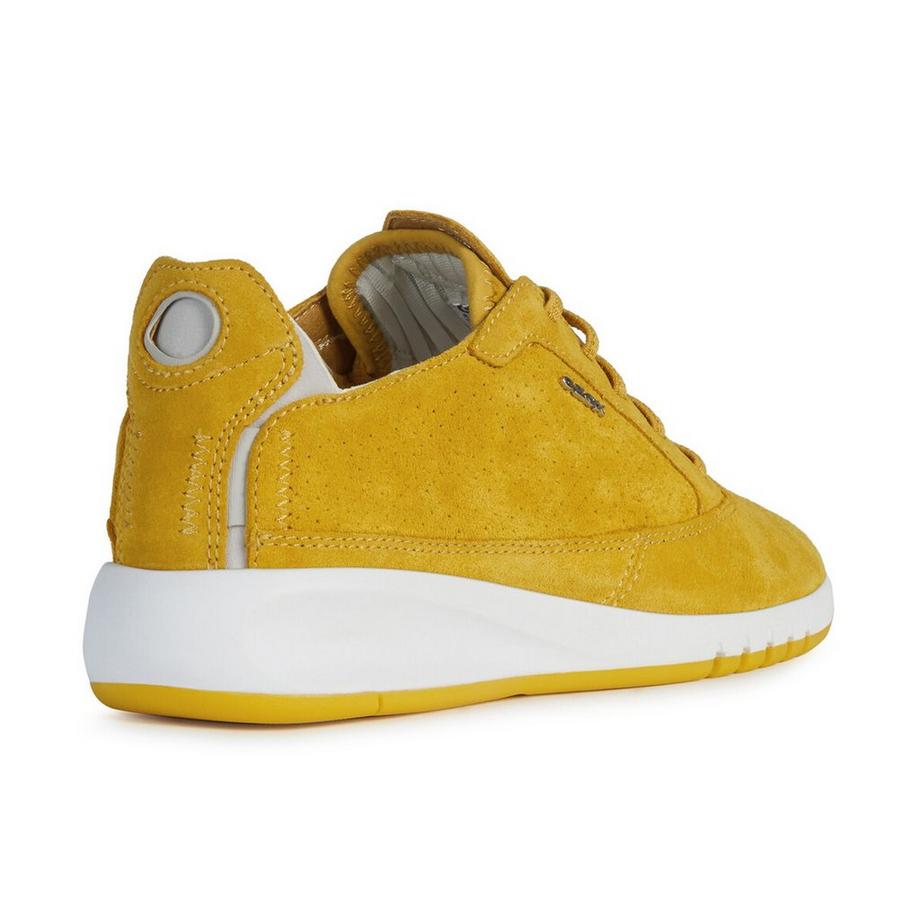 GEOX  Sneakers basse 