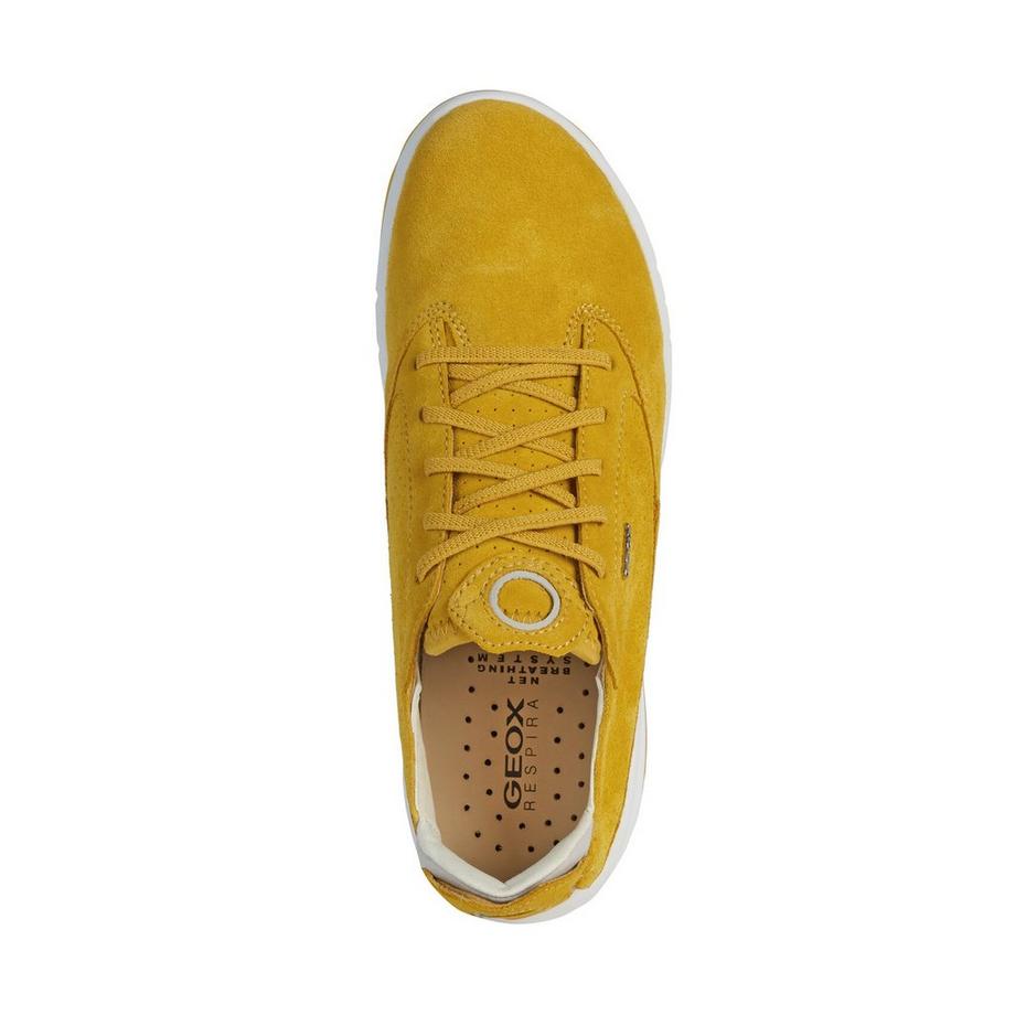 GEOX  Sneakers basse 