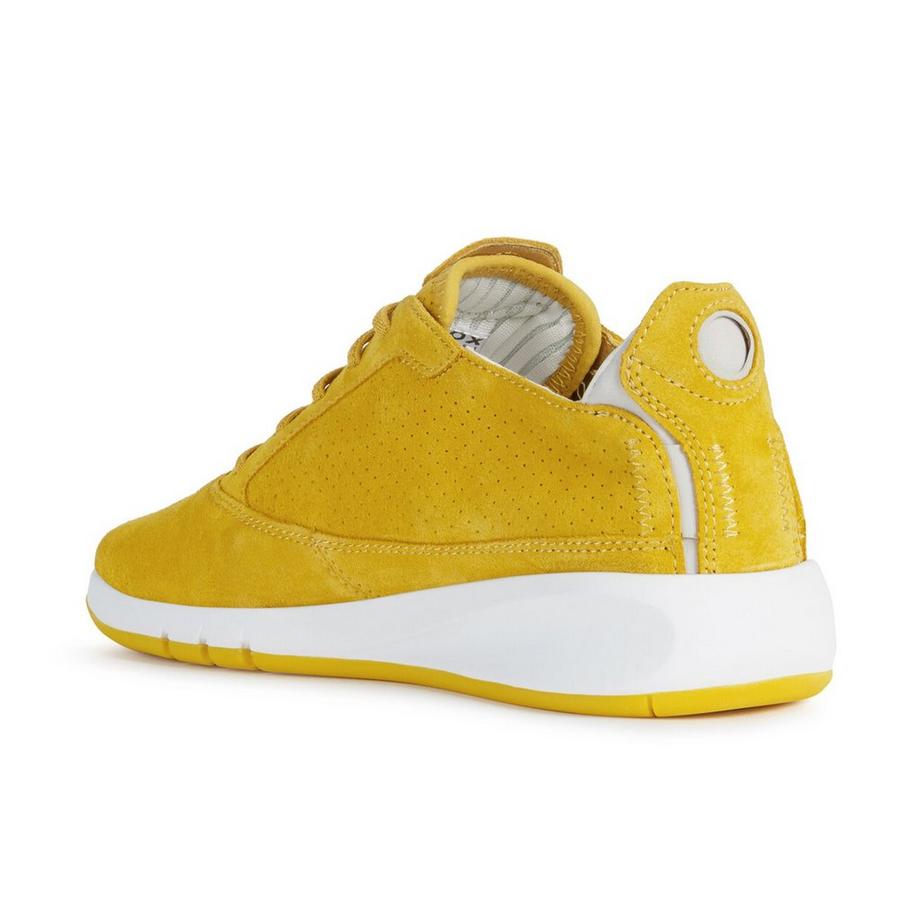 GEOX  Sneakers basse 