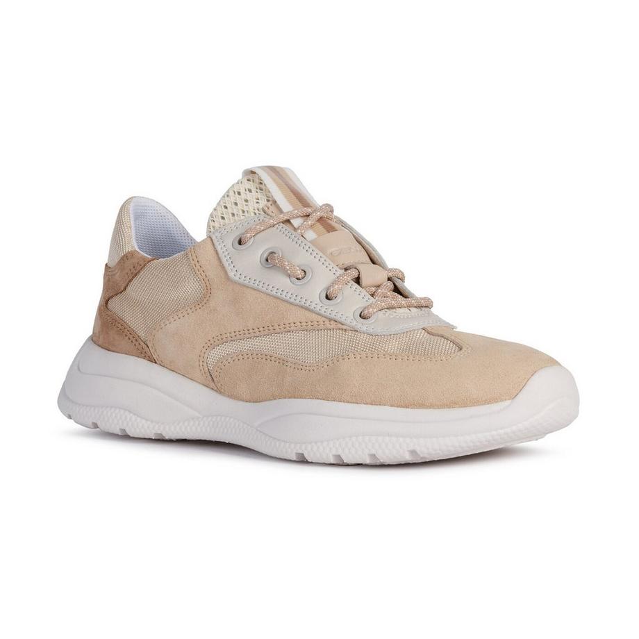GEOX  Sneakers basse 