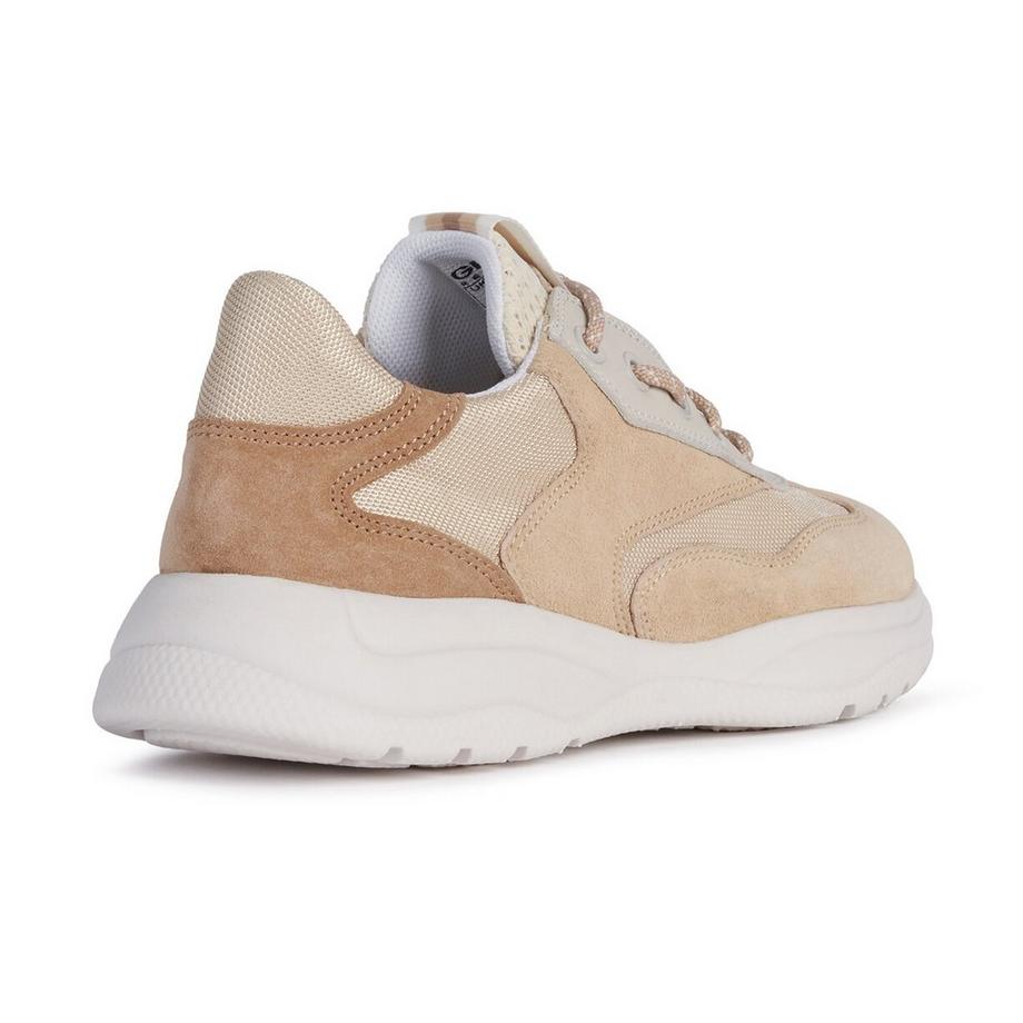 GEOX  Sneakers basse 