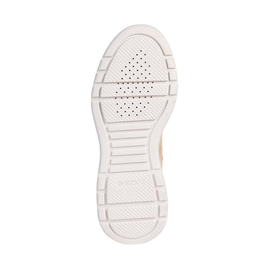 GEOX  Sneakers basse 