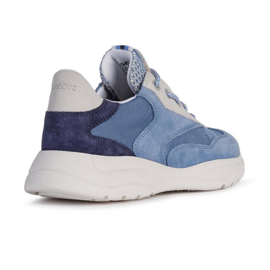 GEOX  Sneakers, Low Top 