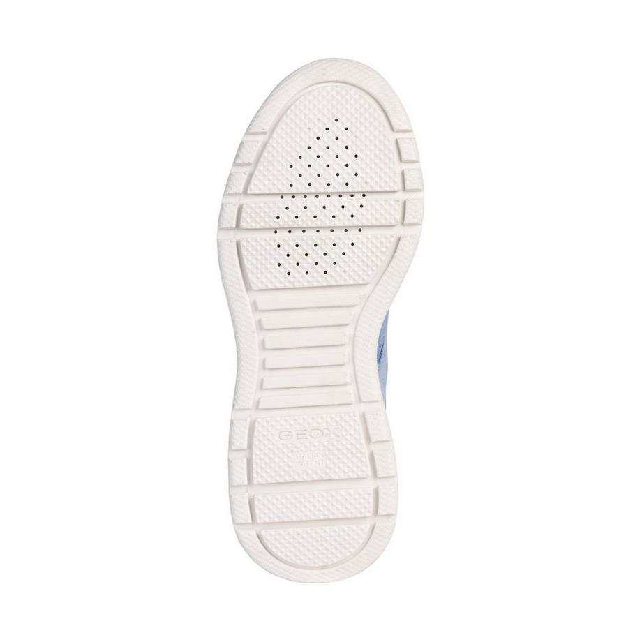 GEOX  Sneakers, Low Top 