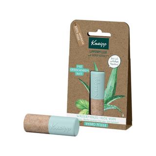 Kneipp Lippenpflege Hydro Pflege Lippenpflege Wasserminze Und Aloe Vera 
