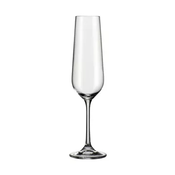 Champagnerglas, 6 Stück
