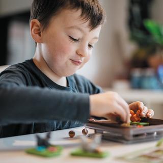 Smart Games  Squirrels Go Nuts 