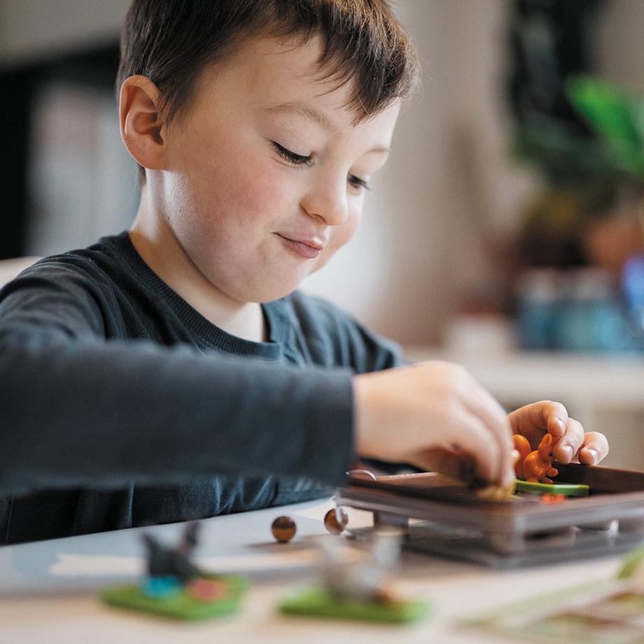 Smart Games  Squirrels Go Nuts 