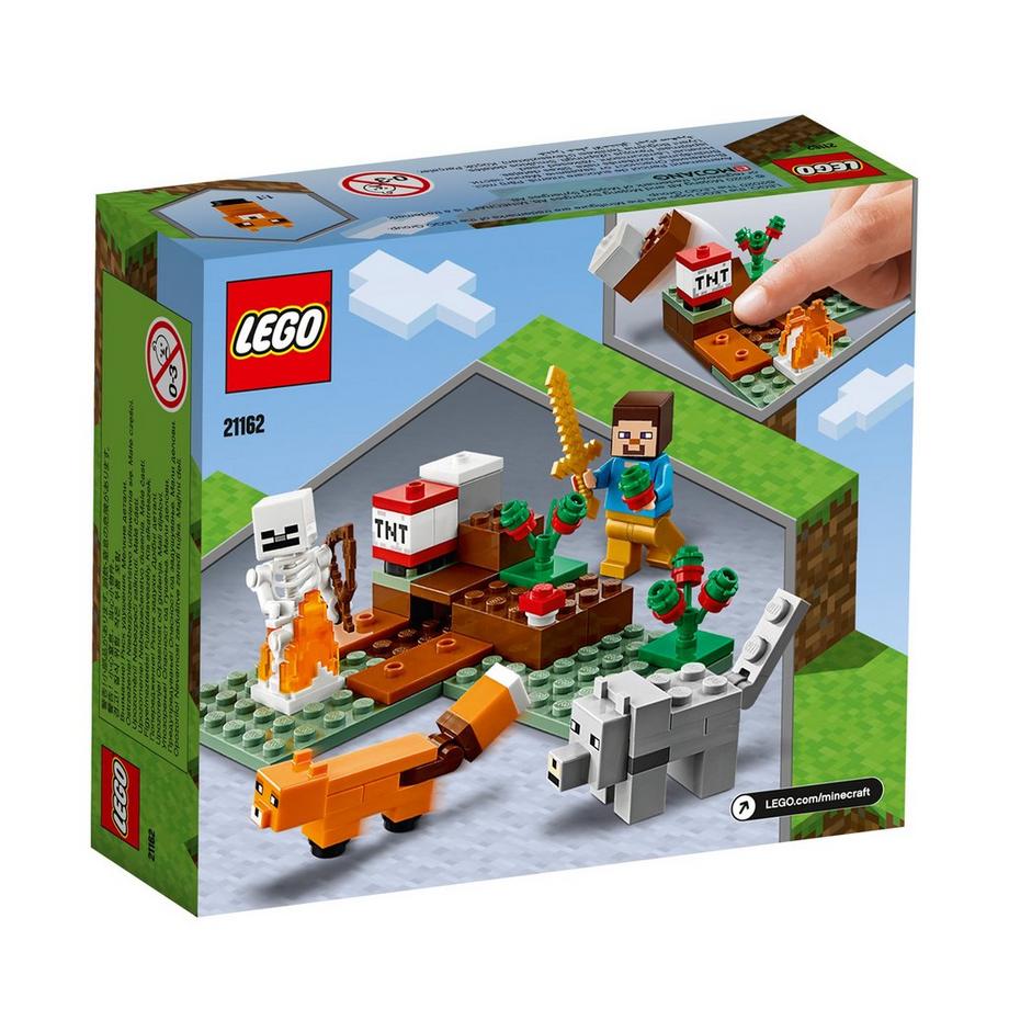 LEGO® 21162 21162 