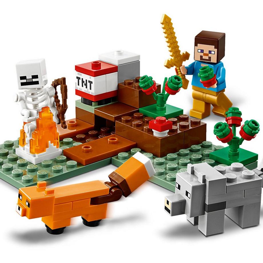 LEGO® 21162 21162 