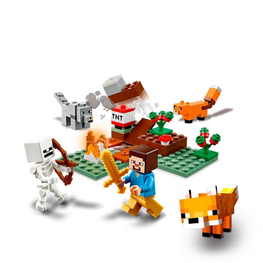 LEGO® 21162 21162 