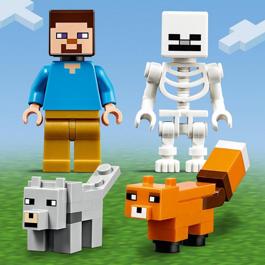 LEGO® 21162 21162 