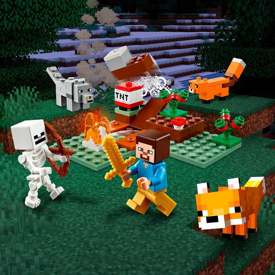 LEGO® 21162 21162 