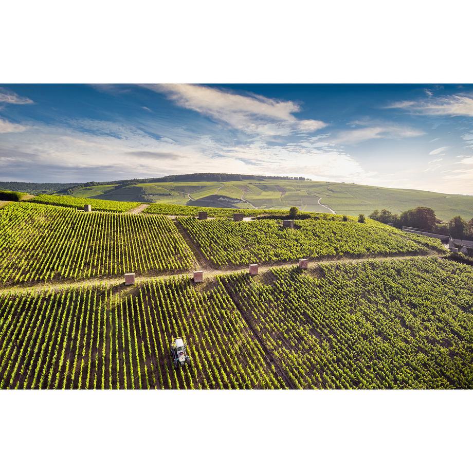 Champagne Deutz Brut Classic, Champagne AOP  
