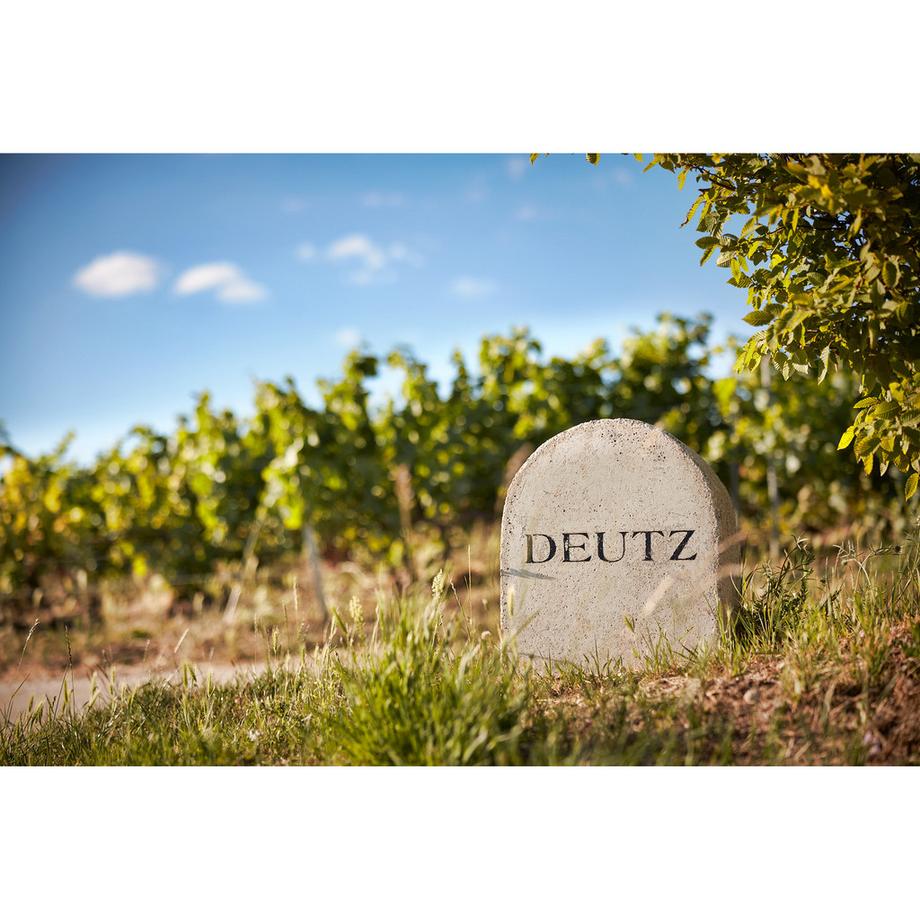 Champagne Deutz Brut Classic, Champagne AOP  