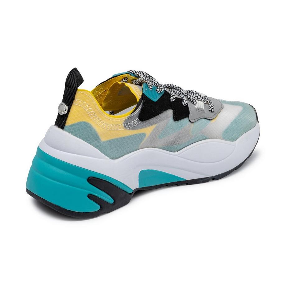 STEVE MADDEN  Sneakers, Low Top 