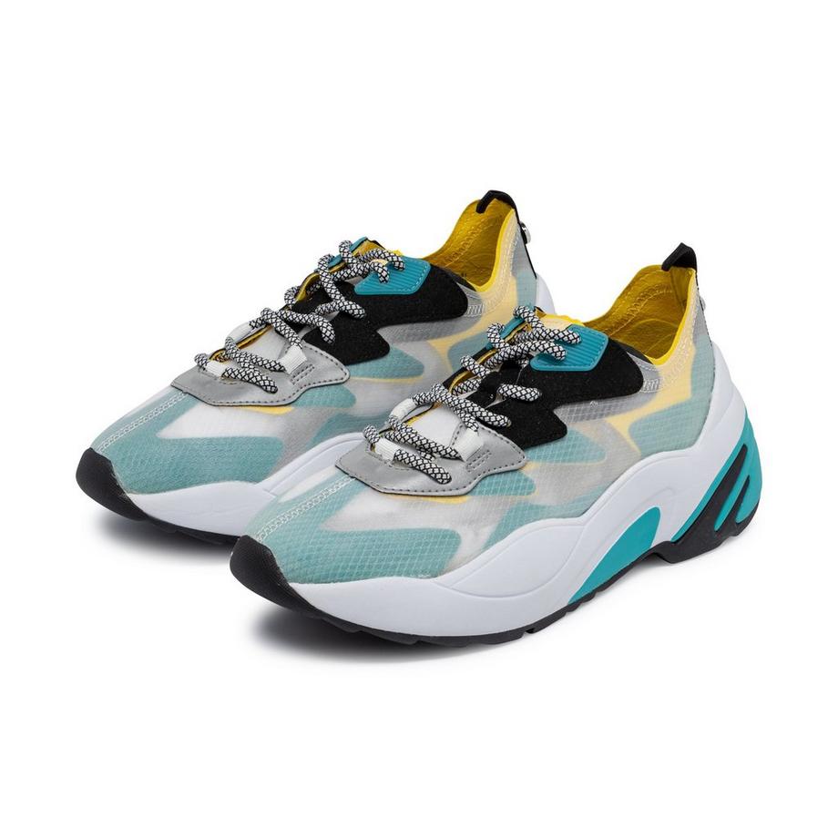 STEVE MADDEN  Sneakers, Low Top 