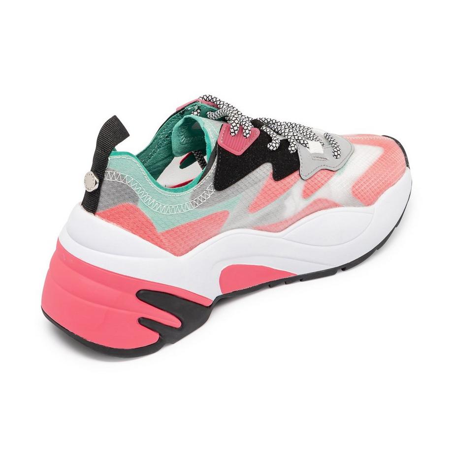 STEVE MADDEN  Sneakers, Low Top 