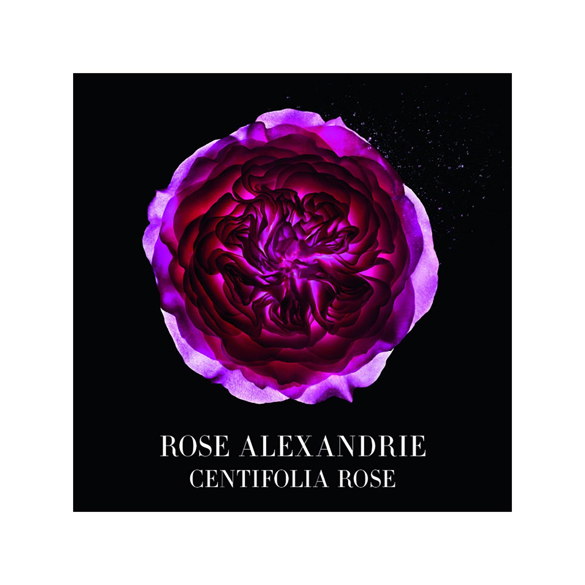 ARMANI Privé Rose d'Alexandrie - Eau de Toilette  