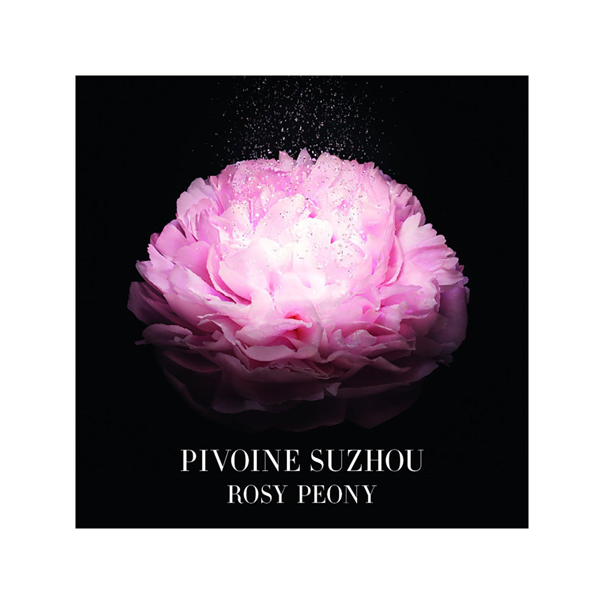 ARMANI  Privé Pivoine Suzhou - Eau de Toilette 