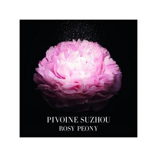 ARMANI Privé Pivoine Suzhou - Eau de Toilette  