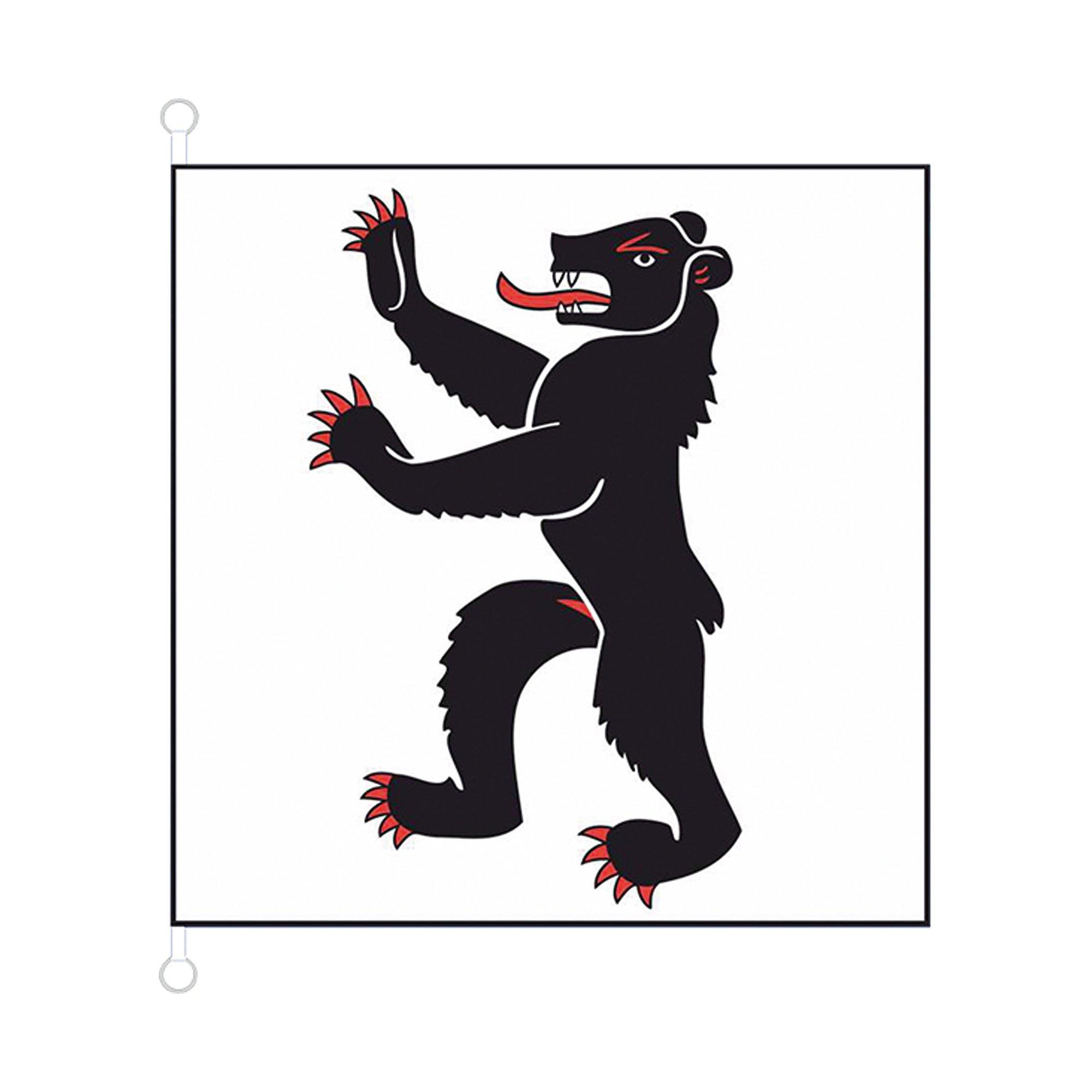 Image of Bern Hissfahne