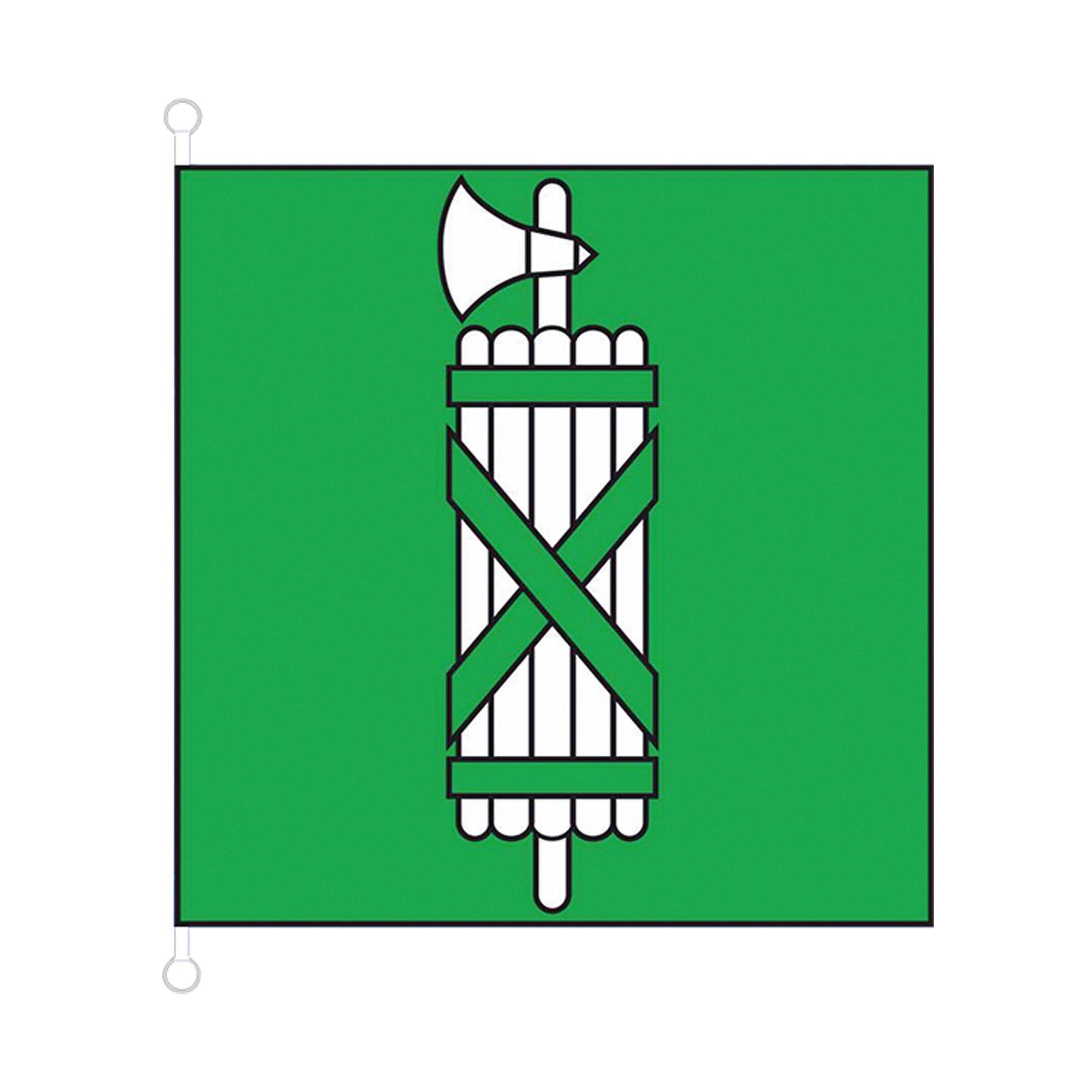 Image of St.Gallen Hissfahne