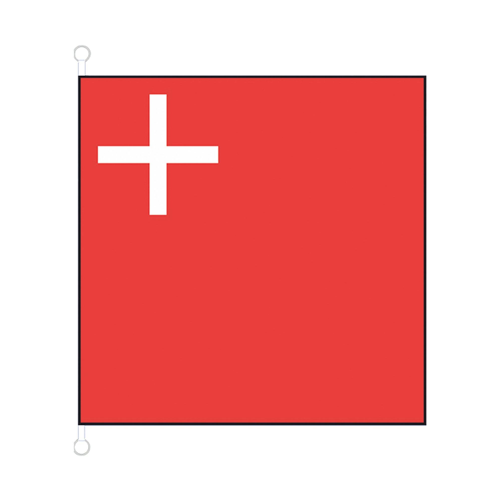 Image of Schwyz Hissfahne